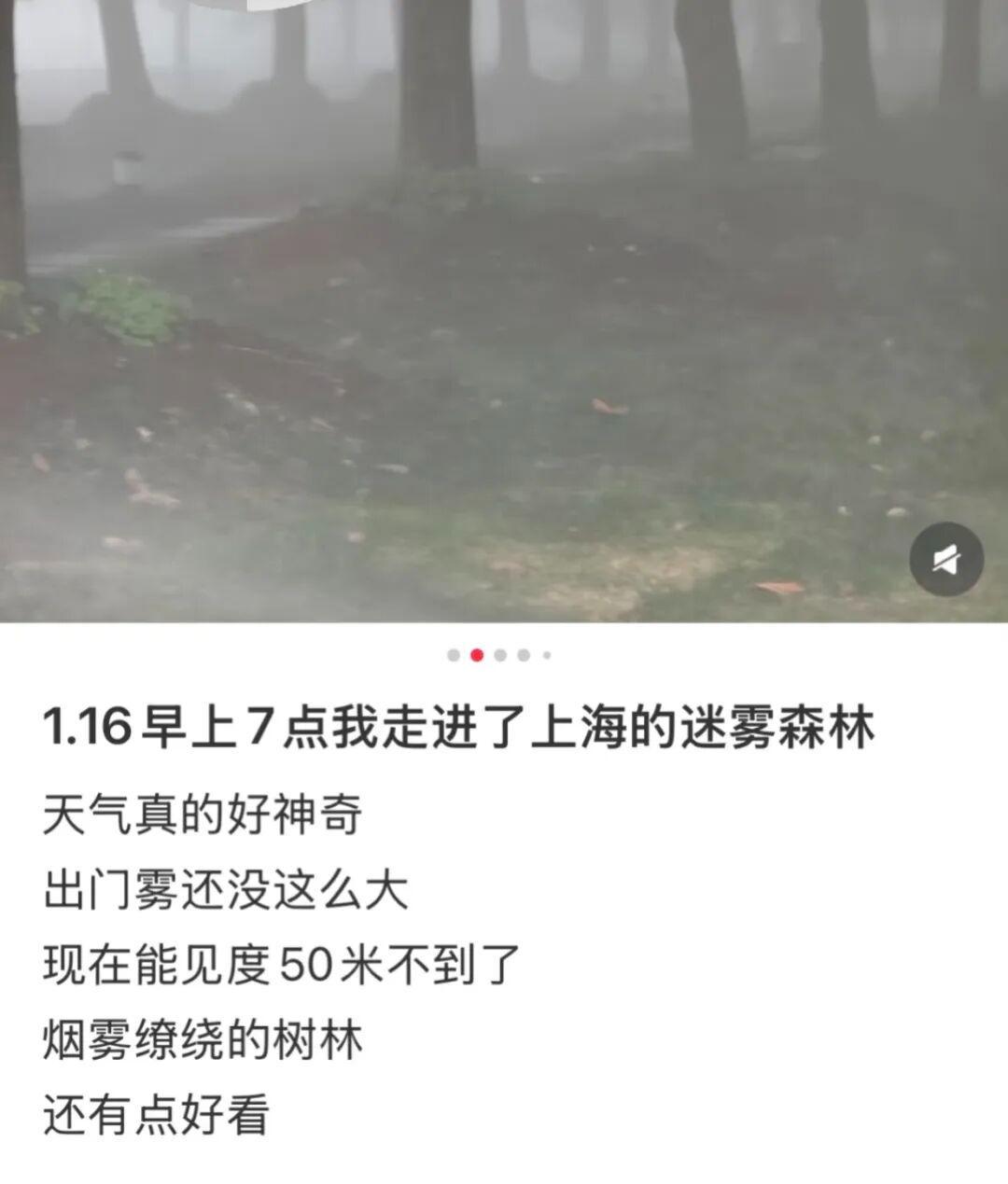 买马挣钱网站app-上海:入冬以来最强雨雪冰冻将袭!网友:没见过这么大雾,路口竟看不到红绿灯!