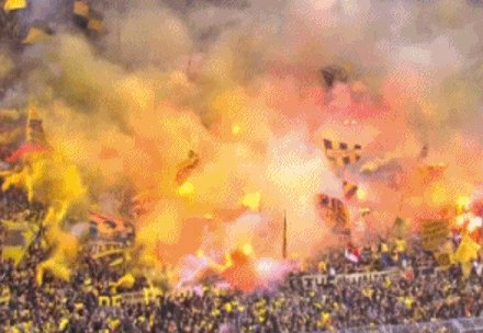 买马挣钱网站app-【德甲】罗伊斯伤退 穆科科破门 多特德比胜沙尔克